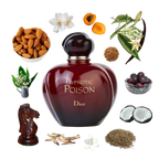 Hypnotic Poison Eau de Parfum 100ml/3.4oz